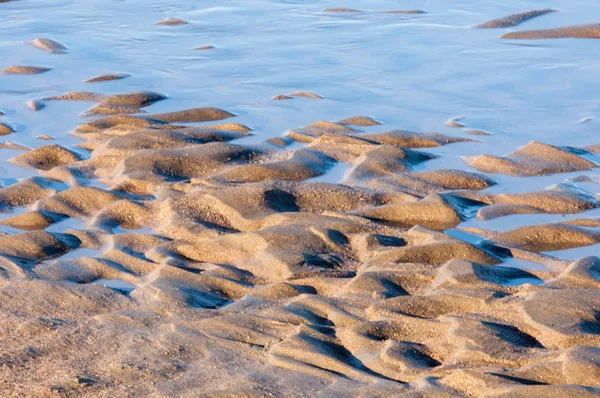 Kum doku. Vahşi doğada kum
