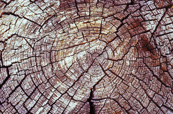Texture of old wood — Stock Photo, Image