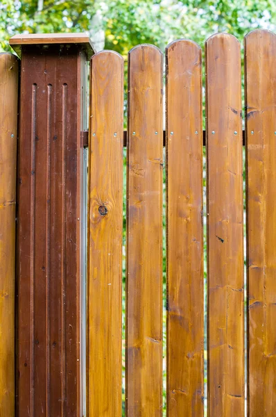 Texture Wood Structure — Stock Photo, Image