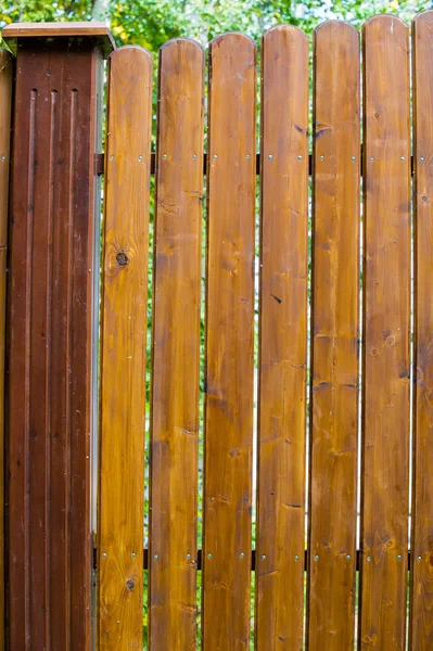 Texture Wood Structure — Stock Photo, Image