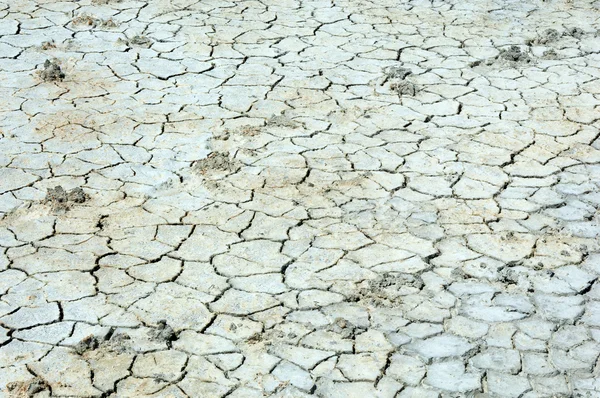 Texture of dry land — Stock Photo, Image