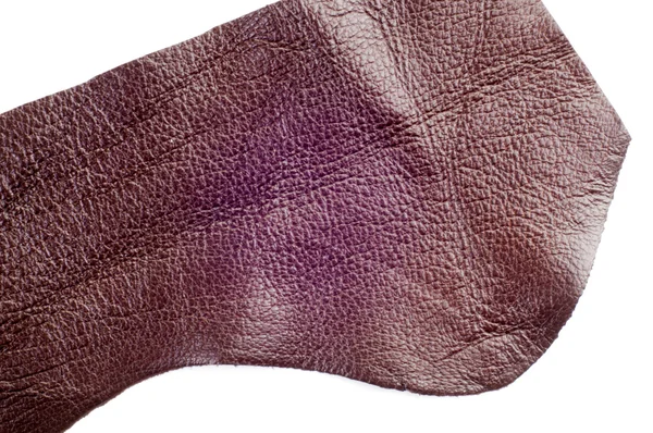 Texture Skin Photo Taken Studio — Stock Photo, Image