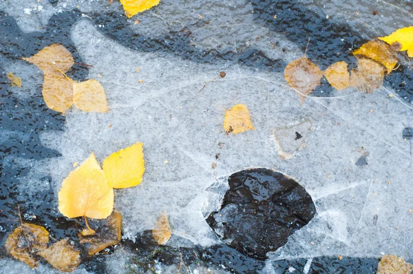 Herbst Lässt Eispfütze Zurück Auf Der Straße Fotografiert — Stockfoto