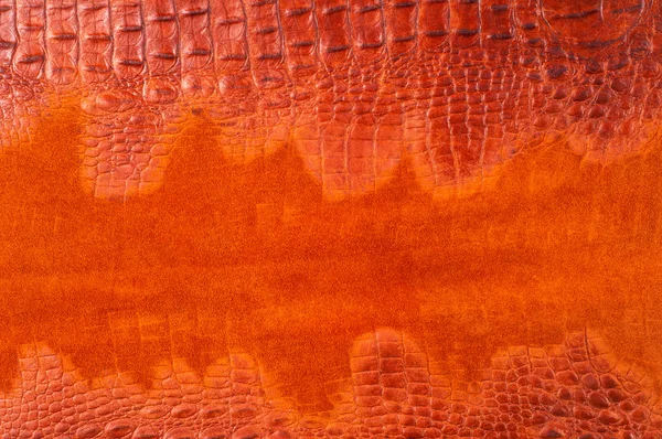 Crocodile Skin — Stock Photo, Image