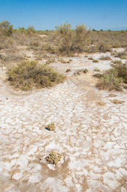 zemin dokusu çatlaklar