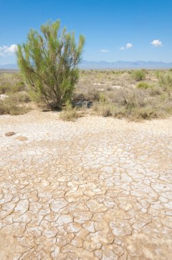 zemin dokusu çatlaklar