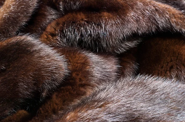 Texture Mink Fur Mink Coat Photo Studio — Stock Photo, Image