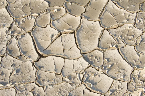Textur von Rissen im Boden — Stockfoto