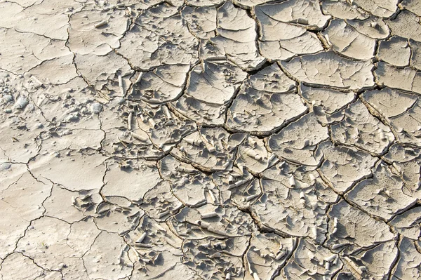Texture of cracks in the ground Royalty Free Stock Photos