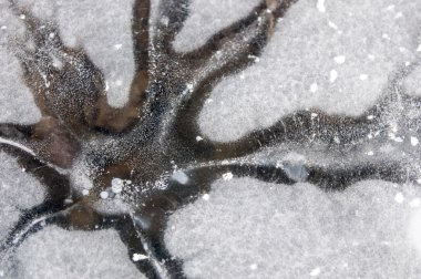 buz yapı, Bina, inşaat, kumaş, devlet, doku doku. hissediyorum, görünüm veya bir yüzey veya bir madde tutarlılık.