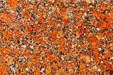 doku taş. içinde belgili tanımlık vahşi fotoğrafı