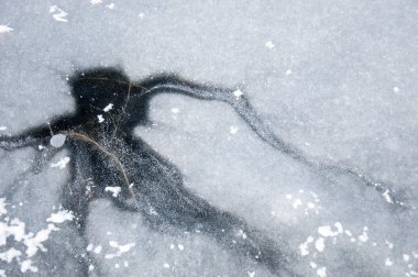 buz yapı, Bina, inşaat, kumaş, devlet, doku doku. hissediyorum, görünüm veya bir yüzey veya bir madde tutarlılık.