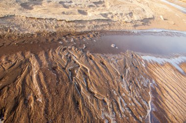Kum doku. Vahşi doğada kum