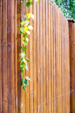 Ahşap yapı dokusuna.