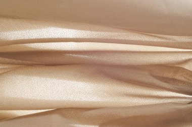 deri dokusuna. Fotoğraf bir stüdyoda çekildi