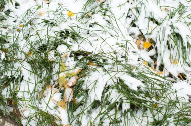 Sonbahar kar doku bırakır. Sokakta fotoğrafı