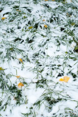 Sonbahar kar doku bırakır. Sokakta fotoğrafı