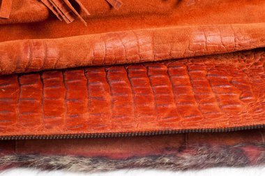 Timsah Cilt. Sanatsal deri timsah