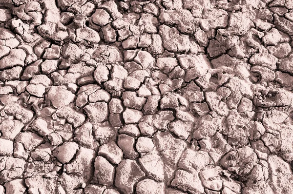 Toprak tuz dokusuna — Stok fotoğraf