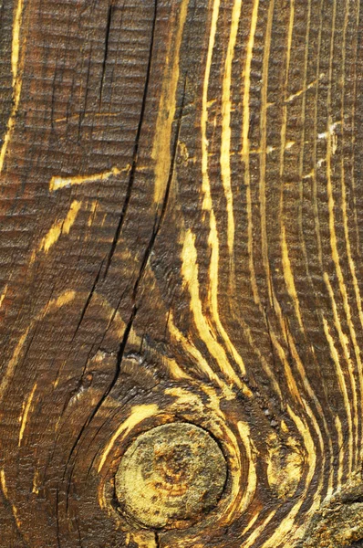 Textur aus altem Holz — Stockfoto