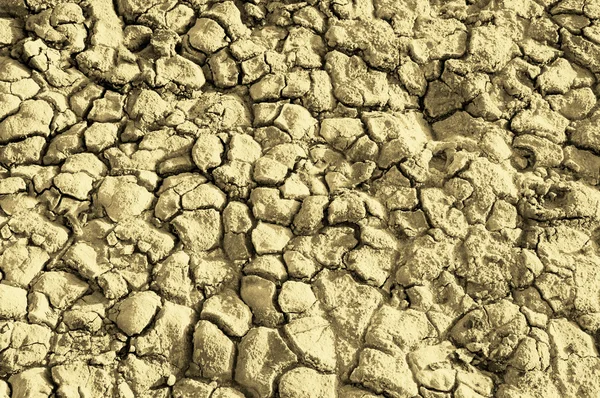 Textura Sal Tierra Sequía Sol Brillante Crearon Grietas Suelo — Foto de Stock