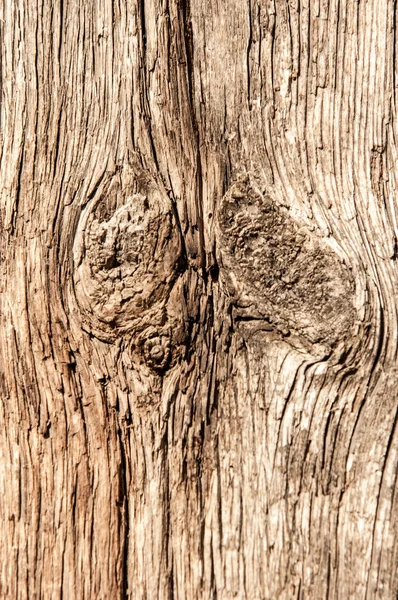 Tekstura starego drewna — Zdjęcie stockowe