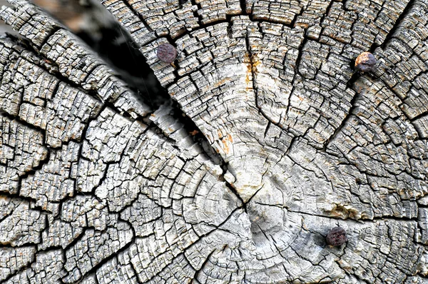 Textuur van oud hout — Stockfoto