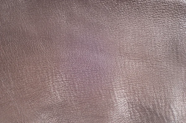 Texturen i huden — Stockfoto