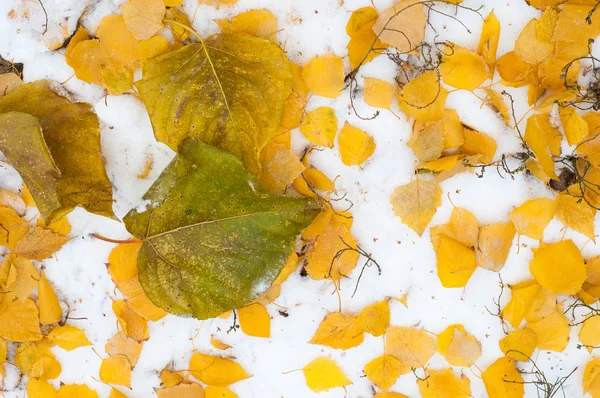 Laat Herfst Sneeuw Textuur Gefotografeerd Straat — Stockfoto