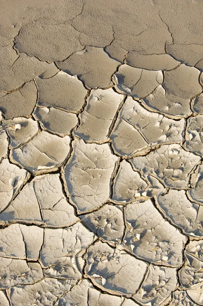 Texture of cracks in the ground — Stock Photo, Image