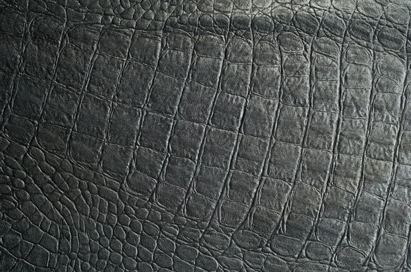 Skin crocodile black. texture — Stock Photo, Image