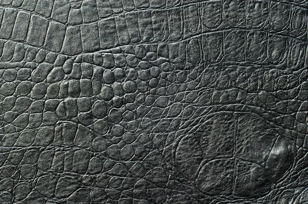 Crocodile de peau noir. texture — Photo