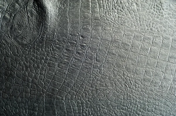 Černá kůže krokodýl. textura — Stock fotografie