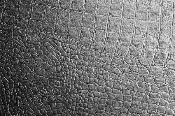 Pelle di coccodrillo nero. texture — Foto Stock