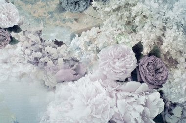 Kadife kumaş, ipek, jakarlı. doku. Fotoğraf stüdyosu