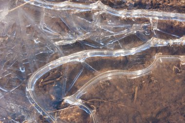 Bir su birikintisine donmuş doku buz