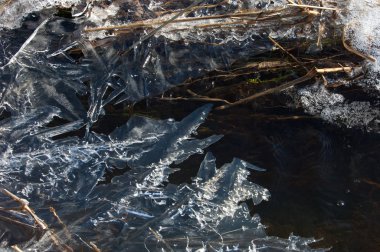 Bir su birikintisine donmuş doku buz