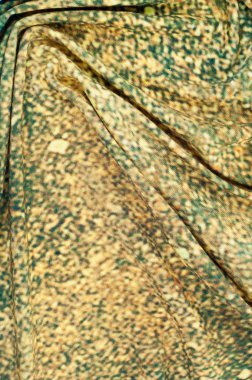 kumaş, malzeme, doku. Stüdyo fotoğrafı kumaş