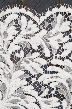 Beyaz dantel doku. Fotoğraf stüdyosu