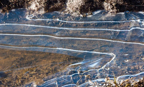 Textur Eis in einer Pfütze gefroren — Stockfoto