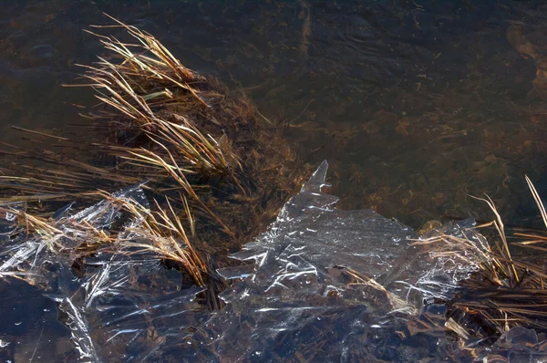 水たまりに凍結テクスチャ氷 — ストック写真