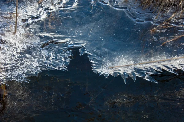 Textur Eis in einer Pfütze gefroren — Stockfoto