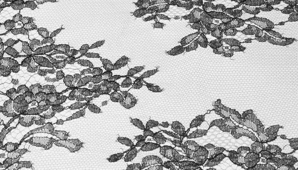 Tekstura koronki tkaniny. koronki na białym tle studio — Zdjęcie stockowe