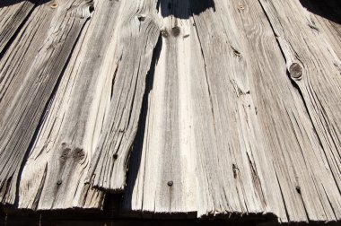 Doku. Eski ağaç. Güneş rain-washed, ahşap maruz