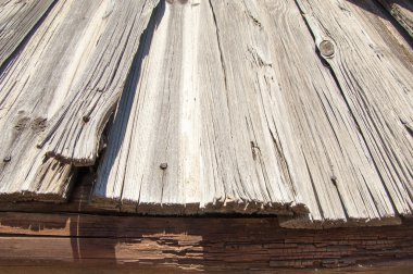 Doku. Eski ağaç. Güneş rain-washed, ahşap maruz