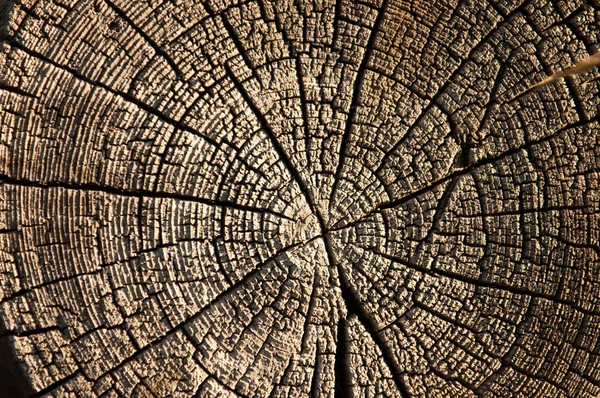 Texture Old Wood Board Old Wood Background Old Grunge Wood — Stock Photo, Image