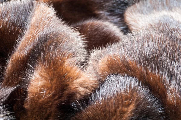 Texture. Mink fur. mink coat — Stock Photo, Image