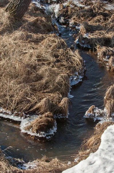 Spring Brook Het Patroon Van Smeltwater Beken Van Lente Een — Stockfoto