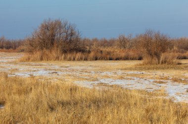 Kış, nehir veya Kazakistan bozkır. Kapchagai Bakanas