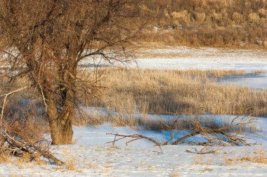 Kış, nehir veya Kazakistan bozkır. Kapchagai Bakanas